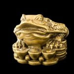 Feng Shui Per l'Abbondanza Attrai la prosperità con il feng shui: scopri i segreti per creare un ambiente armonioso e favorevole all'abbondanza