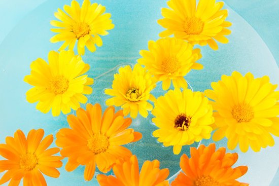 Cos È Feng Shui 1 Cinque principi essenziali del Feng Shui per armonizzare il tuo spazio COS