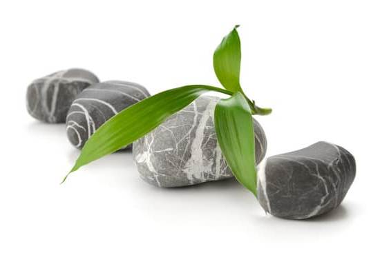 Amici E Aiuti in Feng Shui 1 Amici e Aiuti in Feng Shui: come creare un ambiente armonioso con il supporto degli amici