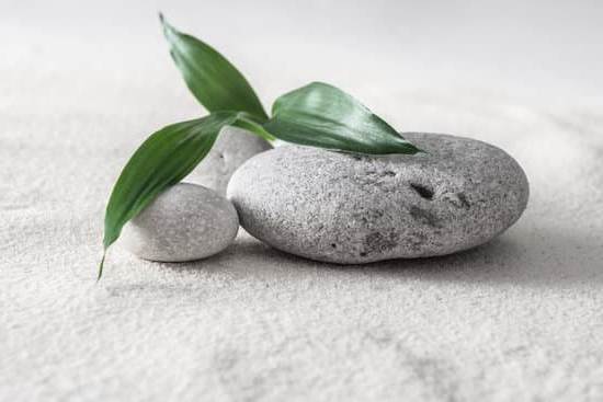 Animake Protettore Feng Shui 1 Scopri come creare un ambiente armonioso con ANIMAKE, il protettore Feng Shui ideale