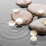 Libri Sul Feng Shui Scopri i migliori libri sul Feng Shui per trasformare la tua casa e la tua vita