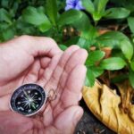 Acquario Camera Letto Feng Shui Crea un santuario sereno nell'acquario della camera da letto con il feng shui