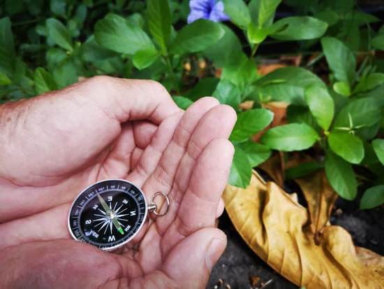 Acquario Camera Letto Feng Shui 1 Crea un santuario sereno nell'acquario della camera da letto con il feng shui