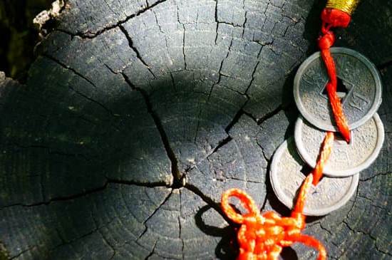 Bioedilizia E Feng Shui 1 Armonizza spazi e materiali naturali nella bioedilizia secondo i principi del Feng Shui