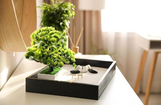 Borsa Dei Soldi Feng Shui 1 Attrai la prosperità con la Borsa dei Soldi Feng Shui