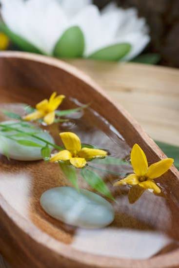 Piccolo Giardino Feng Shui 1 Crea un'atmosfera equilibrata nel tuo piccolo giardino feng shui