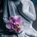 Astrologia Del Feng Shui Scopri l'astrologia del Feng Shui per un equilibrio armonico