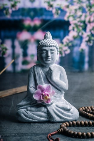 Architetto Feng Shui Imola 1 Scopri come un architetto Feng Shui a Imola può trasformare il tuo spazio abitativo