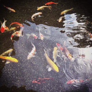 Come trovare un architetto Feng Shui esperto per la tua casa ideale