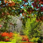 Feng Shui Quadri Camera Da Letto Feng Shui Quadri Camera da Letto: armonia e serenità con quadri posizionati correttamente secondo la tradizione