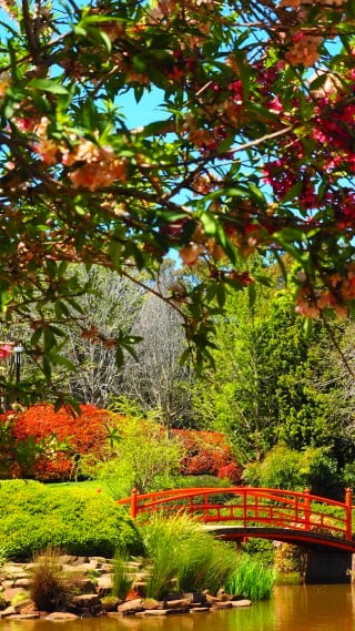 Feng Shui Quadri Camera Da Letto 1 Feng Shui Quadri Camera da Letto: armonia e serenità con quadri posizionati correttamente secondo la tradizione