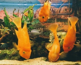 Libera La Tua Mente Con Il Feng Shui 1 Scegli l'armonia con il Feng Shui: libera la tua mente e trasforma il tuo spazio