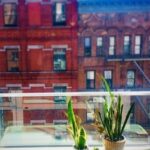 Feng Shui Corsi Esplora l'energia positiva con i nostri corsi di Feng Shui