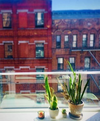 Feng Shui Corsi 1 Esplora l'energia positiva con i nostri corsi di Feng Shui