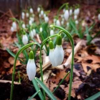 Arredare Uno Studio Secondo Il Feng Shui 1 Scegli arredi in legno naturale per arredare uno studio secondo il Feng Shui