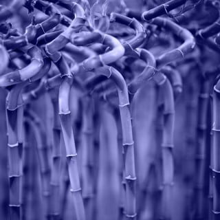 Feng Shui Porta d'Ingresso 1 Migliora l'energia della tua casa con il FENG SHUI PORTA D'INGRESSO