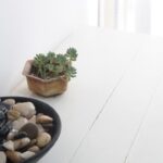 Feng Shui Letto Nord Come migliorare il tuo sonno con il Feng Shui: FENG SHUI LETTO NORD