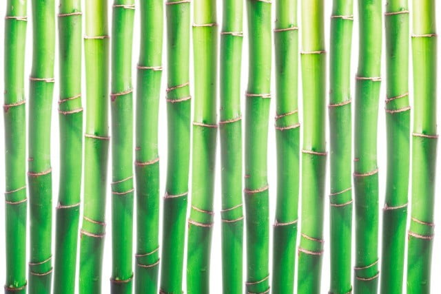 Appartamento Feng Shui Planimetrie 1 Crea un ambiente armonioso e equilibrato con il nostro appartamento feng shui e le dettagliate planimetrie