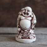 La pianta dei soldi Feng Shui porta prosperità e fortuna