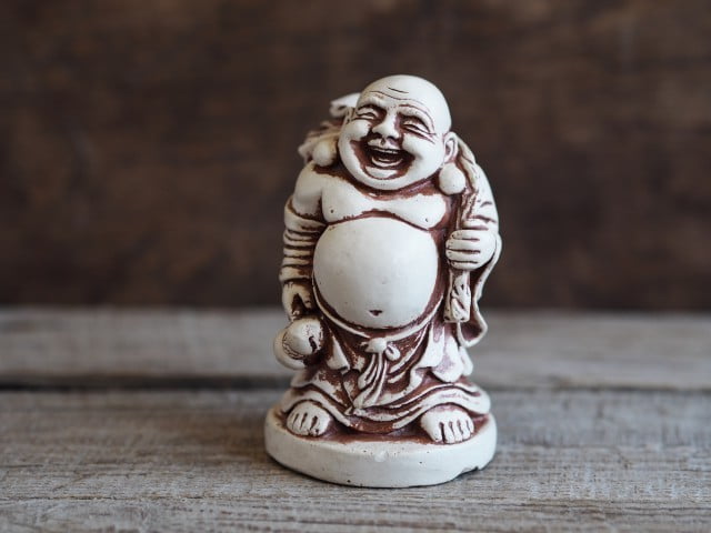 Pianta Dei Soldi Feng Shui 1 La pianta dei soldi Feng Shui porta prosperità e fortuna
