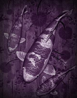 Feng Shui Cucina 1 feng shui cucina