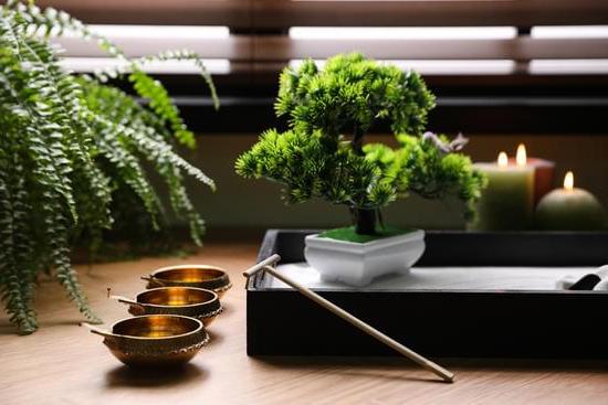 Feng Shui Che Cos'è 4 Scopri cos'è il Feng Shui e come applicarlo nella tua vita quotidiana