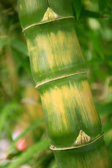 Feng Shui Per Trovare Lavoro 1 Feng Shui per trovare lavoro: applica i principi per attrarre opportunità lavorative