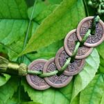 Numerologia E Feng Shui Scopri il potere della numerologia e del Feng Shui per armonizzare la tua casa e la tua vita