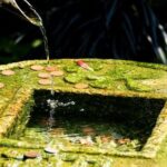 Feng Shui Per L Amore Feng Shui per l'amore: armonia nei rapporti con semplici regole di design