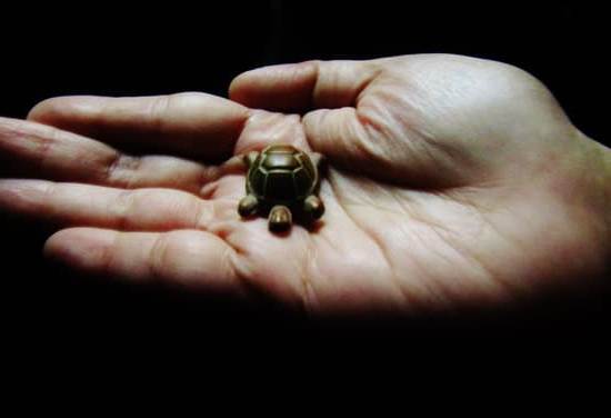 Colori Salotto Feng Shui 1 Armonia e bilanciamento dei COLORI SALOTTO FENG SHUI per una casa accogliente e armoniosa