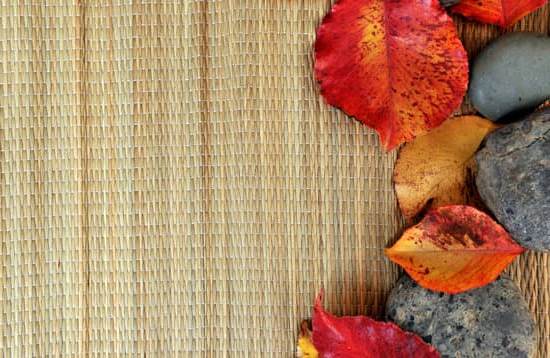 Piante E Feng Shui 1 Utilizza piante adatte al Feng Shui per migliorare l'energia della tua casa
