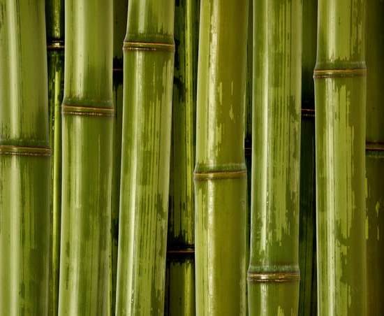 Feng Shui Portafoglio 1 Organizza il tuo portafoglio secondo i principi del Feng Shui per attrarre l'abbondanza