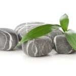Bussola Feng Shui Prezzo Scopri il miglior prezzo per una bussola Feng Shui e trasforma la tua casa