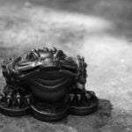 Come Si Pronuncia Feng Shui Scopri come si pronuncia 'Feng Shui' per essere sicuro di usarlo correttamente nella tua vita quotidiana