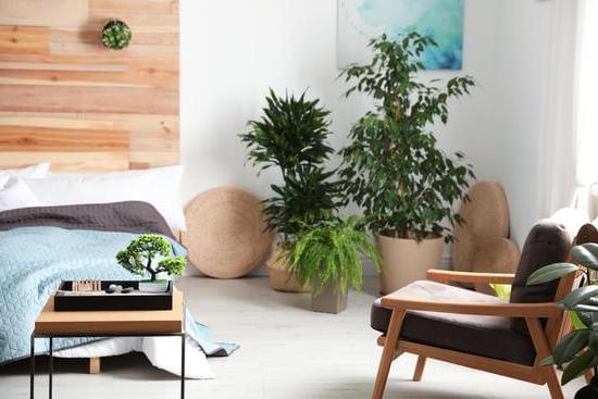 Scopri cosa il Feng Shui può fare per migliorare la tua casa e la tua vita