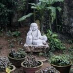 Arredare Un Negozio Secondo Il Feng Shui Arreda il tuo negozio secondo il Feng Shui per attirare energia positiva e clienti felici