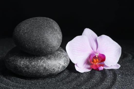 Scopri i significati e le proprietà dell'albero feng shui con gemme su Wikipedia