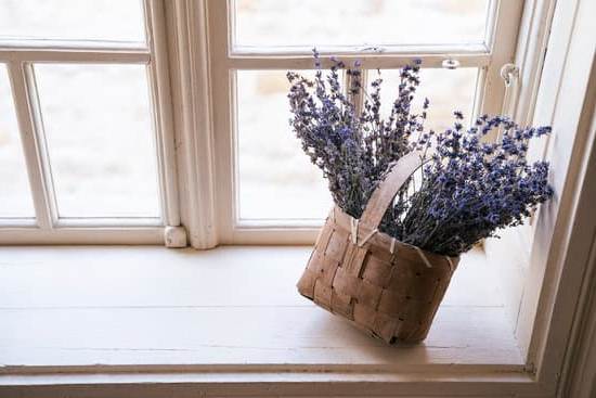 Arredare Il Bagno Secondo Il Feng Shui 1 Arreda il tuo bagno secondo il Feng Shui per promuovere l'armonia e il benessere