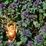 Architetture Fatte Sulla Base Del Feng Shui Scopri le architetture fatte sulla base del Feng Shui per un equilibrio armonioso