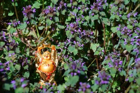 Architetture Fatte Sulla Base Del Feng Shui 1 Scopri le architetture fatte sulla base del Feng Shui per un equilibrio armonioso