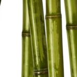 Feng Shui Regole Bracciale Segui le regole del Feng Shui mentre indossi un bracciale per ottenere equilibrio ed armonia