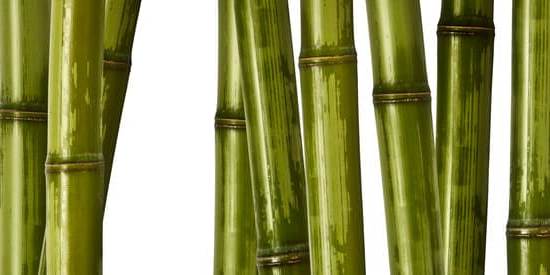 Feng Shui Regole Bracciale 1 Segui le regole del Feng Shui mentre indossi un bracciale per ottenere equilibrio ed armonia