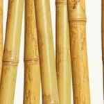 Cosa Serve Lo Specchio X Il Feng Shui Lo specchio serve per riflettere l'energia secondo il Feng Shui: posizionalo correttamente