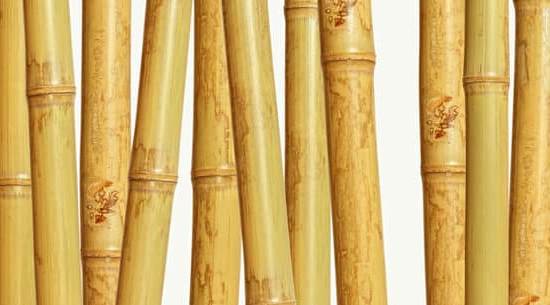 Cosa Serve Lo Specchio X Il Feng Shui 1 Lo specchio serve per riflettere l'energia secondo il Feng Shui: posizionalo correttamente