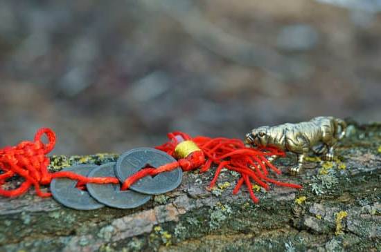 Scegli colori armoniosi e caldi per la tua cucina Feng Shui