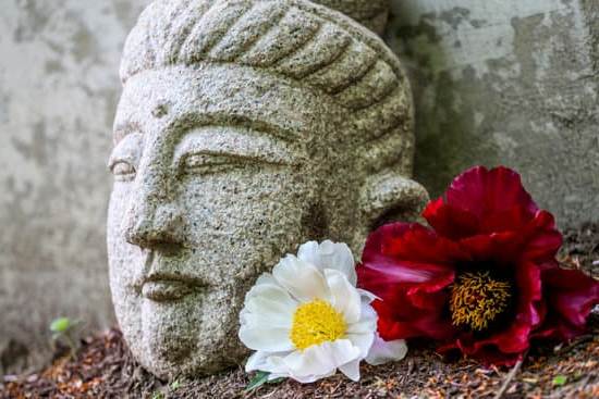 Cinese Feng Shui Monete 1 Utilizzare Cinesi Feng Shui Monete per attirare prosperità e fortuna