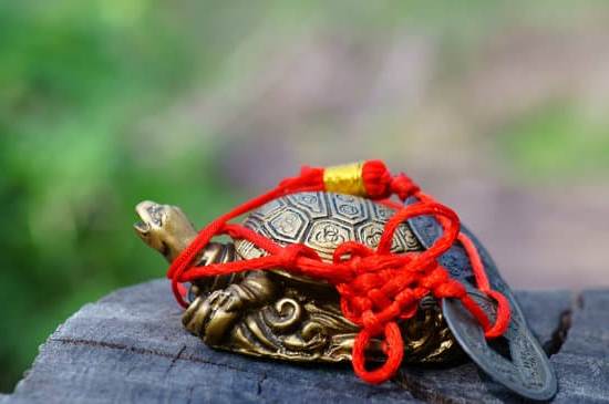 Corso Di Feng Shui on Line 1 Scopri i segreti del Feng Shui con il nostro Corso di Feng Shui online