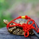 Bioarchitettura E Feng Shui Bioarchitettura e Feng Shui: armonia naturale e equilibrio energetico nell'ambiente costruito