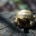 Corsi Di Feng Shui Firenze Scopri i migliori corsi di Feng Shui a Firenze per armonizzare gli spazi