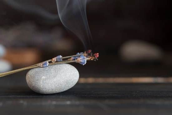 Cosa Mettere Davanti Ad Uno Specchio Secondo Il Feng Shui 1 Posiziona una pianta davanti allo specchio, secondo il Feng Shui